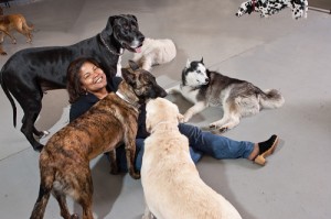 woman surrounded by dogs