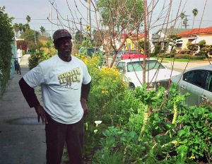 ron-finley-garden-main ron finley gardener