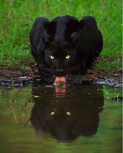 Instagram Accounts to Follow 