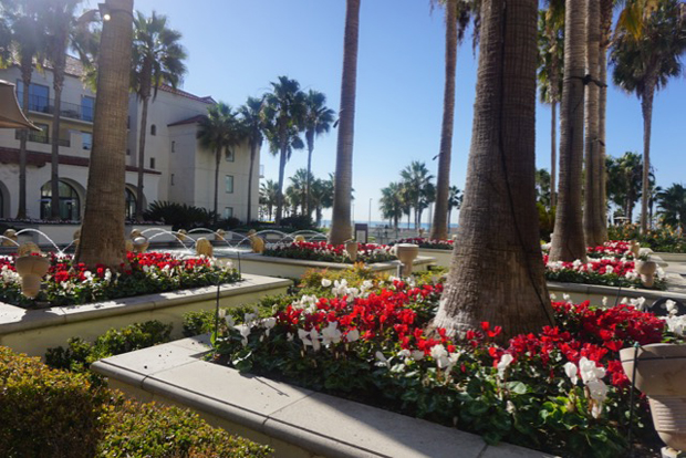 Grounds of the Pacific Waters Spa