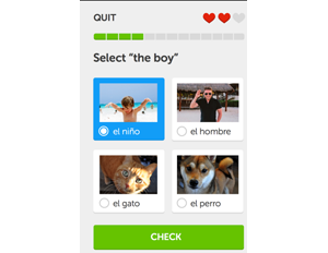 BE_Duolingo Duolingo
