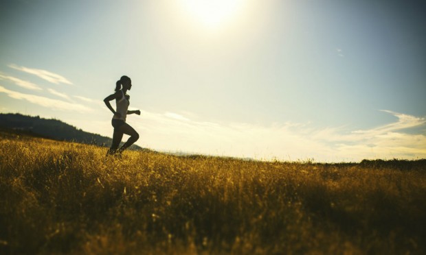 iStock_000076227843_Medium