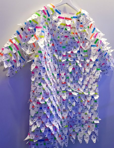 Project Wild Rabbit for Art Basel