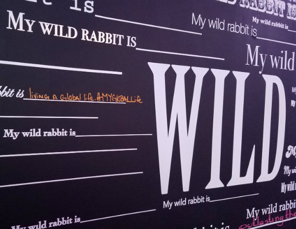 The wall of inspiration from attendees about what being a "Wild Rabbit" meant to them.