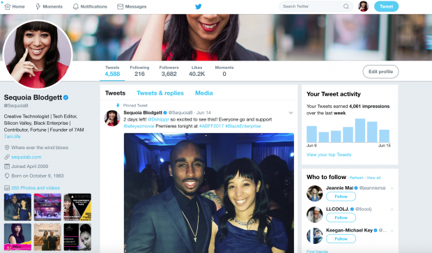 New Twitter Interface