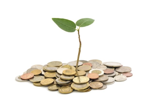 Seed Investment Equity Crowdfunding