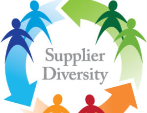 Top 5 Strategies for Diverse Supplier Success Tips allow organizations to more competitively seek contracts and growth opportunities