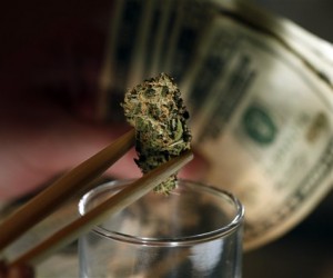 Where Marijuana is Legal, Dealers prepare to battle Corporate Cannabis