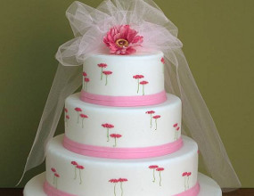 Baker refuses to Bake a Wedding Cake for a Same Sex Couple