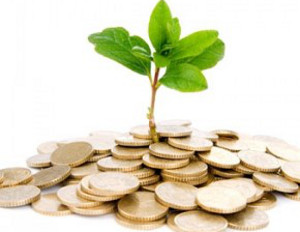 How Venture Capital Helps Drive the Startup Economy