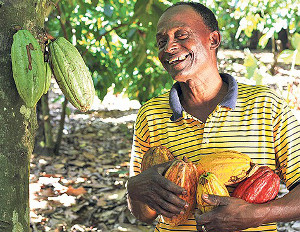Cadbury & Peace Corps Team Up to Train Cocoa Entrepreneurs in the Dominican Republic