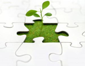 Growing Your Business At the Right Pace