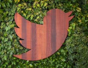 Twitter bird in wood