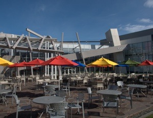 google campus umbrellas