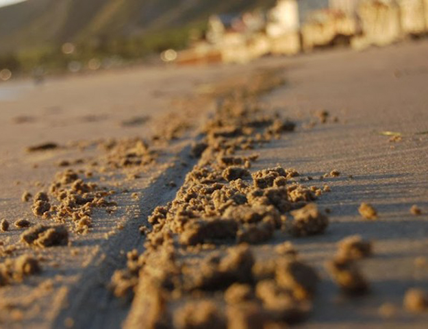 (Image: ZenGardner.com)