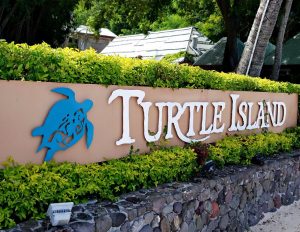Turtle Island