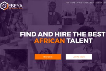 User Interface (Image: Gebeya)