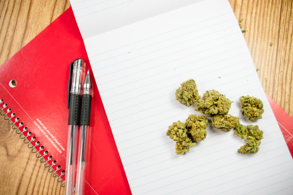 marijuana Northern Michigan University