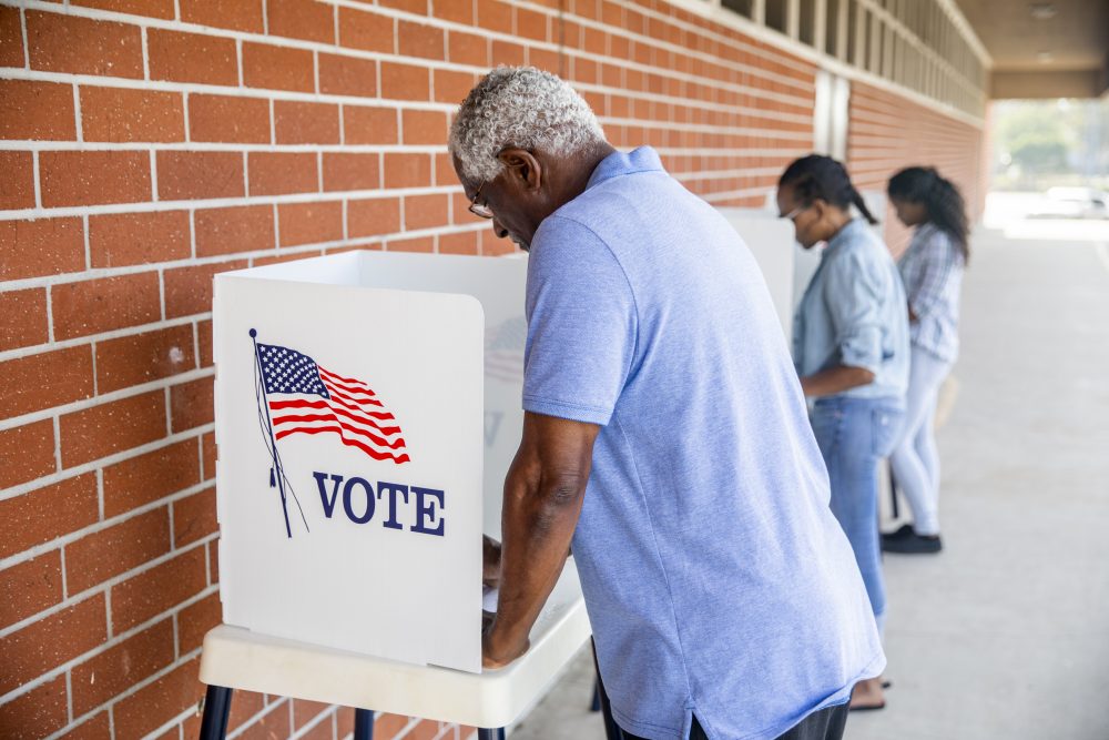 Georgia voting