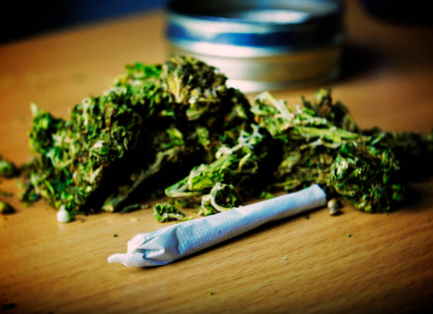 marijuana convictions