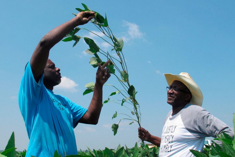 Black Farmers