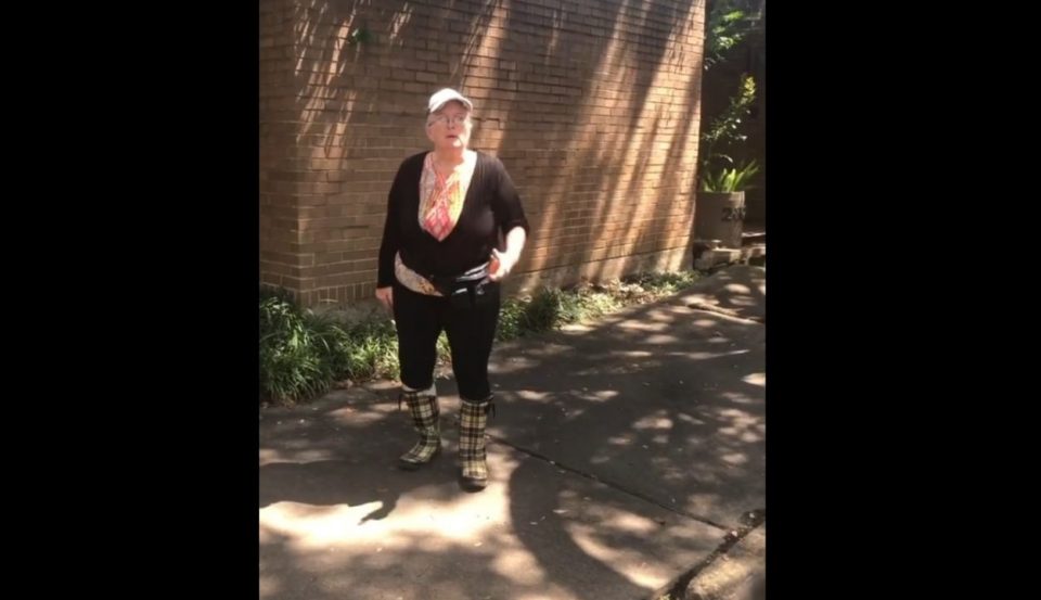 White Houston Woman census worker
