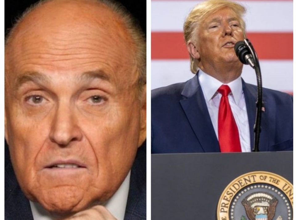 Rudy Giuliani Donald Trump