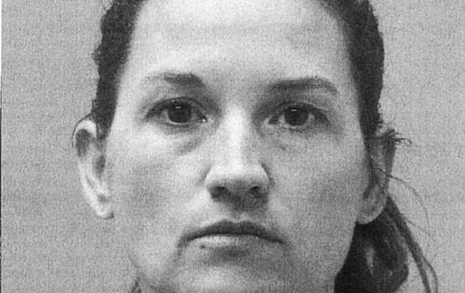 Janet Irvin Louisiana sugar cane field