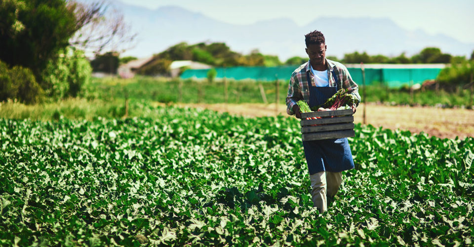 Black Farmers, agriculture. agricultural, NMSDC