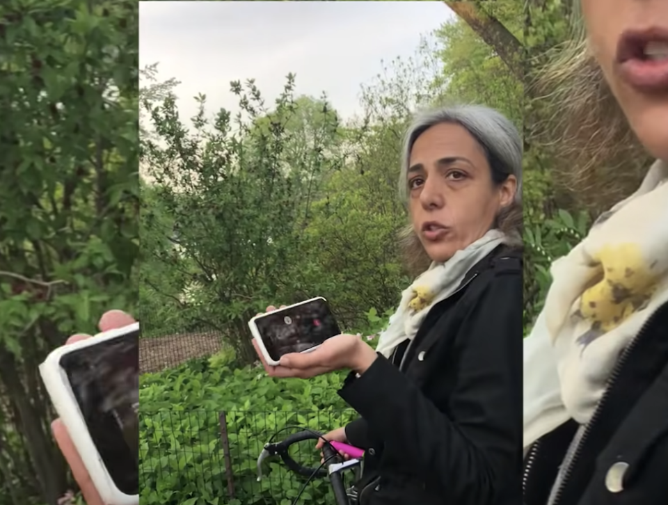 Spicy Karen, Alana Lambert,Central Park, phone charger, police