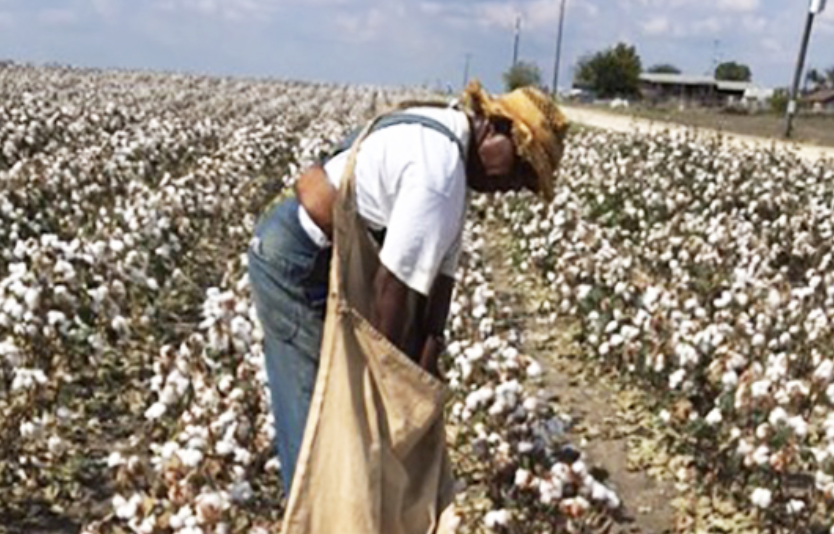 Feazell, Washington, Spokane, Sacajawea Middle School, cotton,Mississippi, assignment