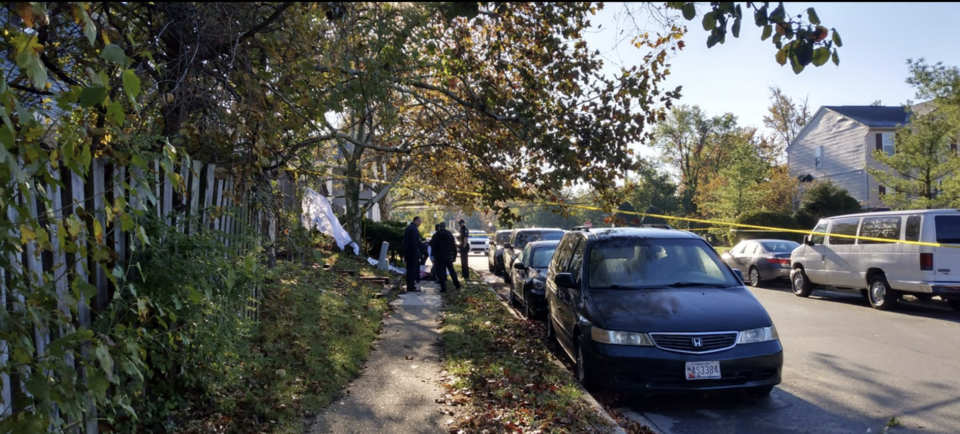 Annapolis, Maryland, lunching, 72-year-old, school, tree, hanging