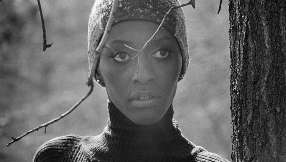 Bethann Hardison