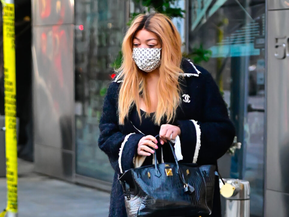 Wendy Williams, reality show, cancellation