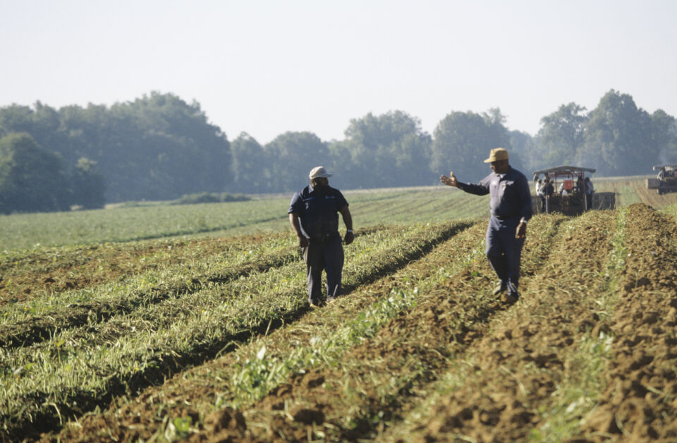 al roker, farmers