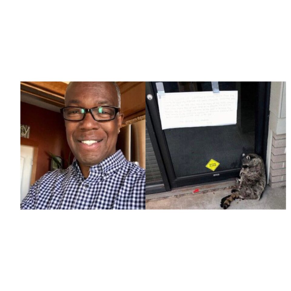 Clifford Evelyn, raccoon, racist, hate