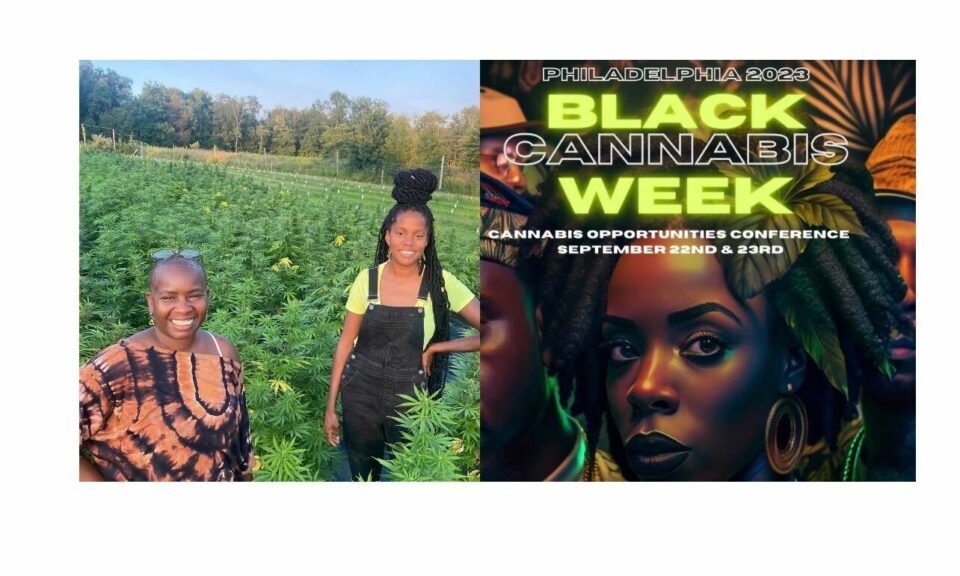 Cherron Perry-Thomas, cannabis, week, equity