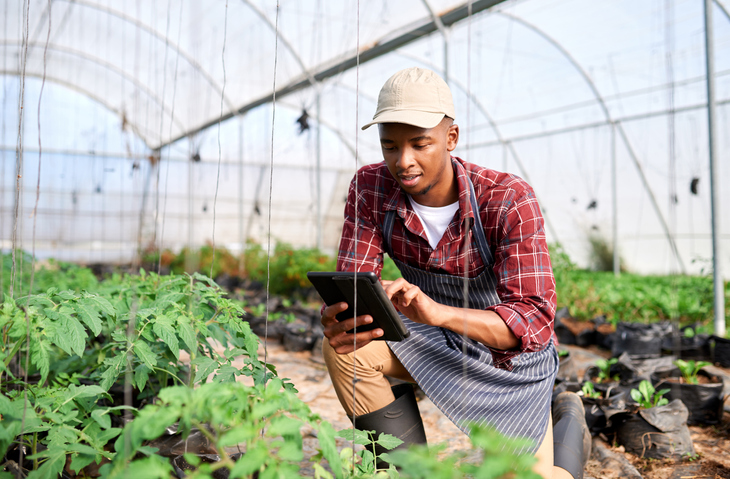 The Males Place, agriculture,