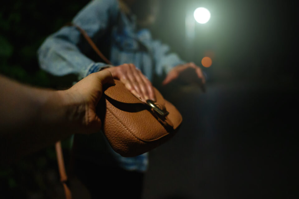 Black woman, robbery, Chicago, crime, I'm a lot traumatized, victim, Jameson, attack