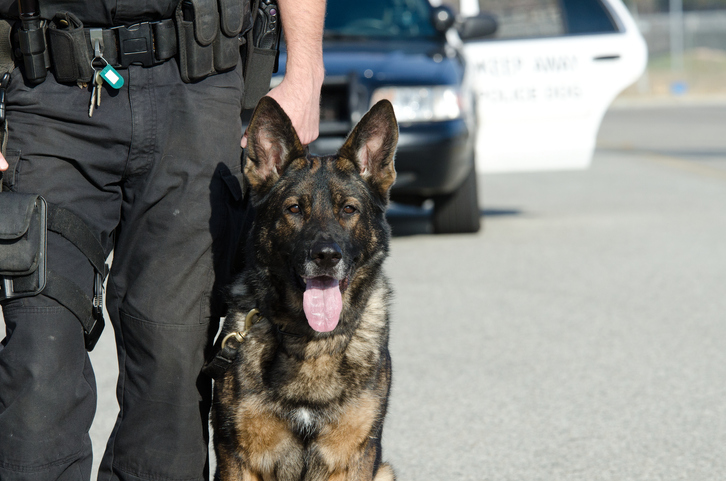 Trucker, Police dog attack, Ohio, civil rights